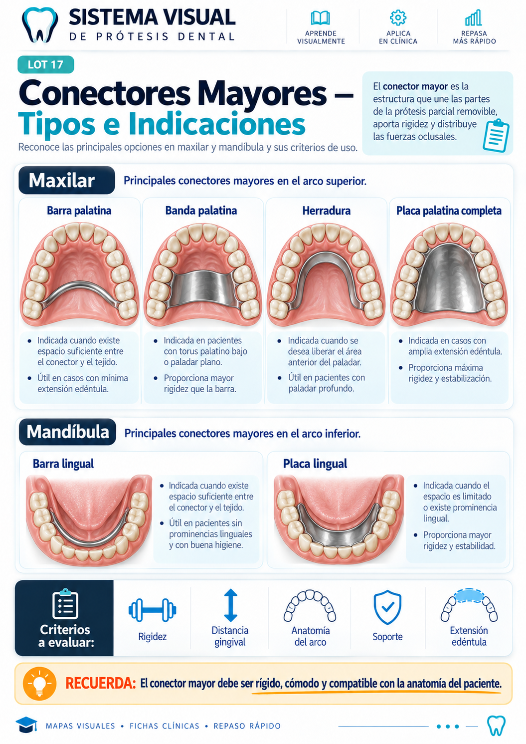 Mapa visual: Conectores Mayores — Tipos e Indicaciones