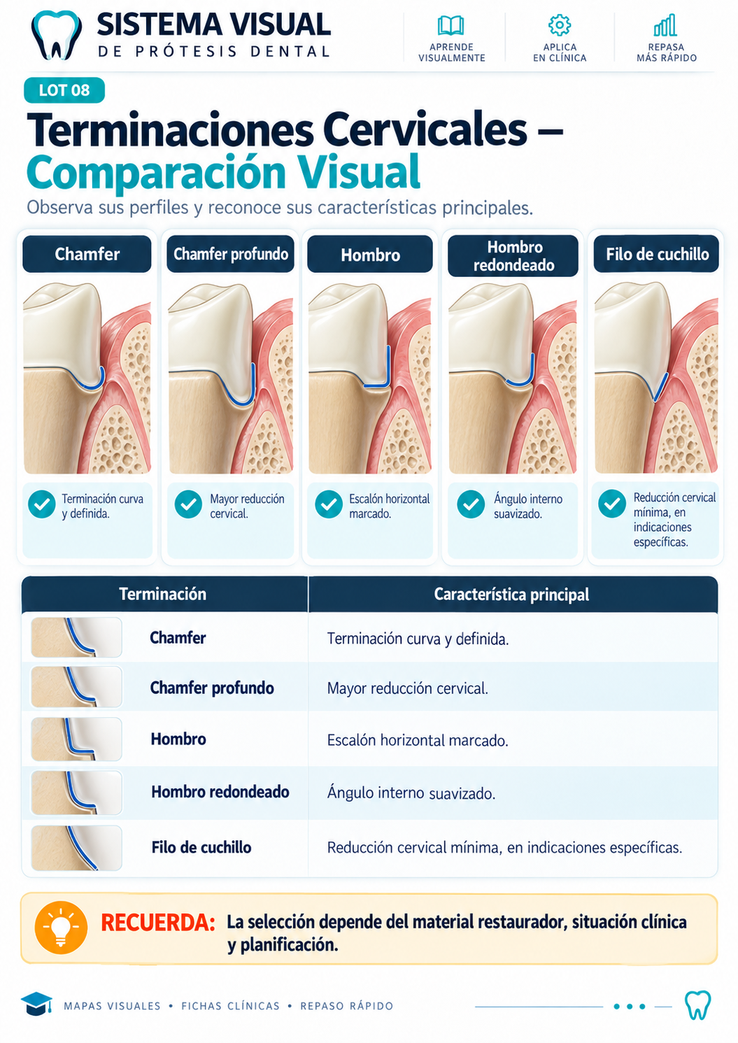 Mapa visual: Terminaciones Cervicales